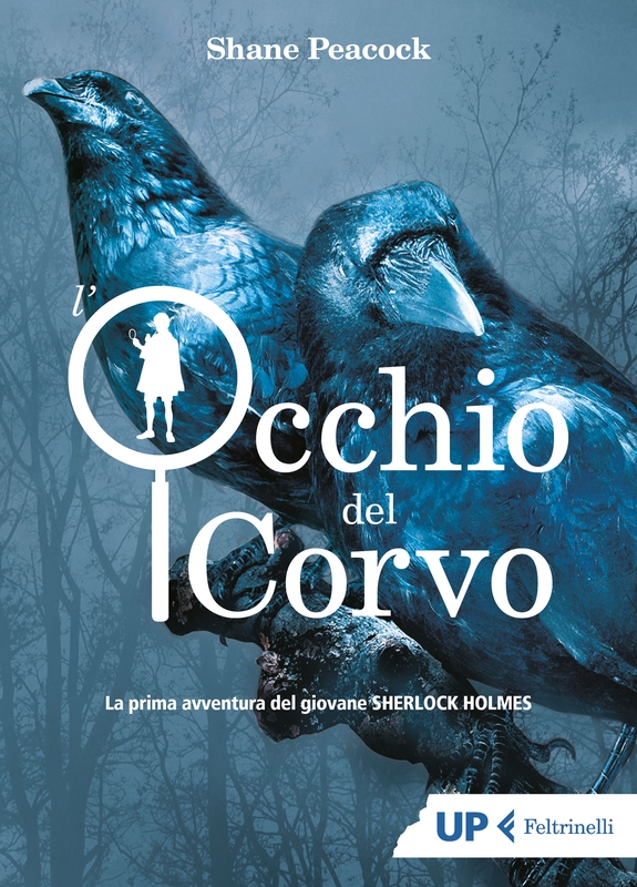 L'occhio del corvo