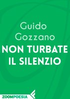cover Non turbate il silenzio