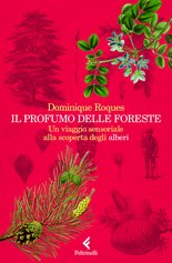 Il profumo delle foreste