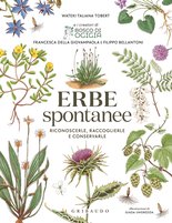 Erbe Spontanee