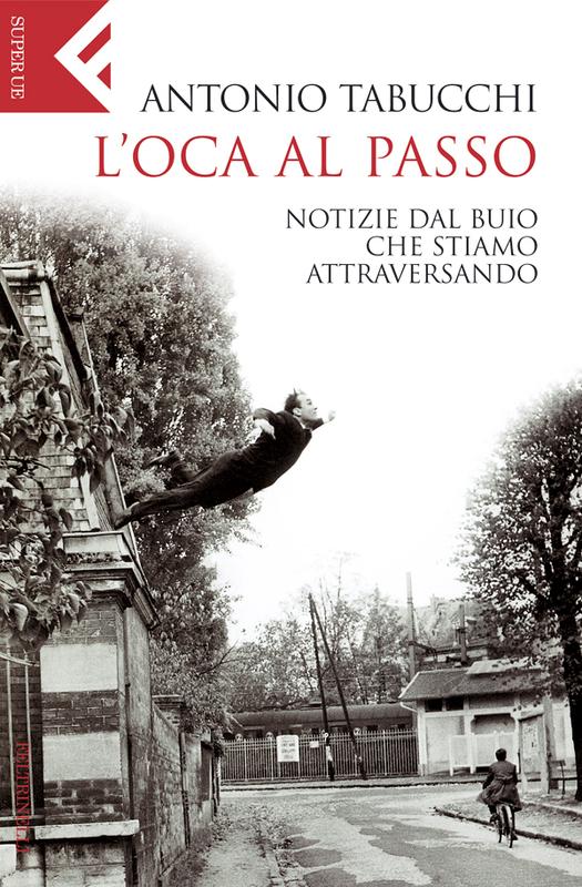 L'oca al passo