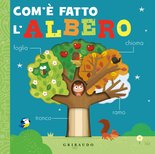 Com'è fatto l’albero