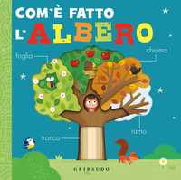 Com'è fatto l’albero