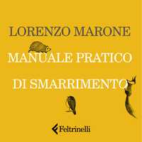 Manuale pratico di smarrimento