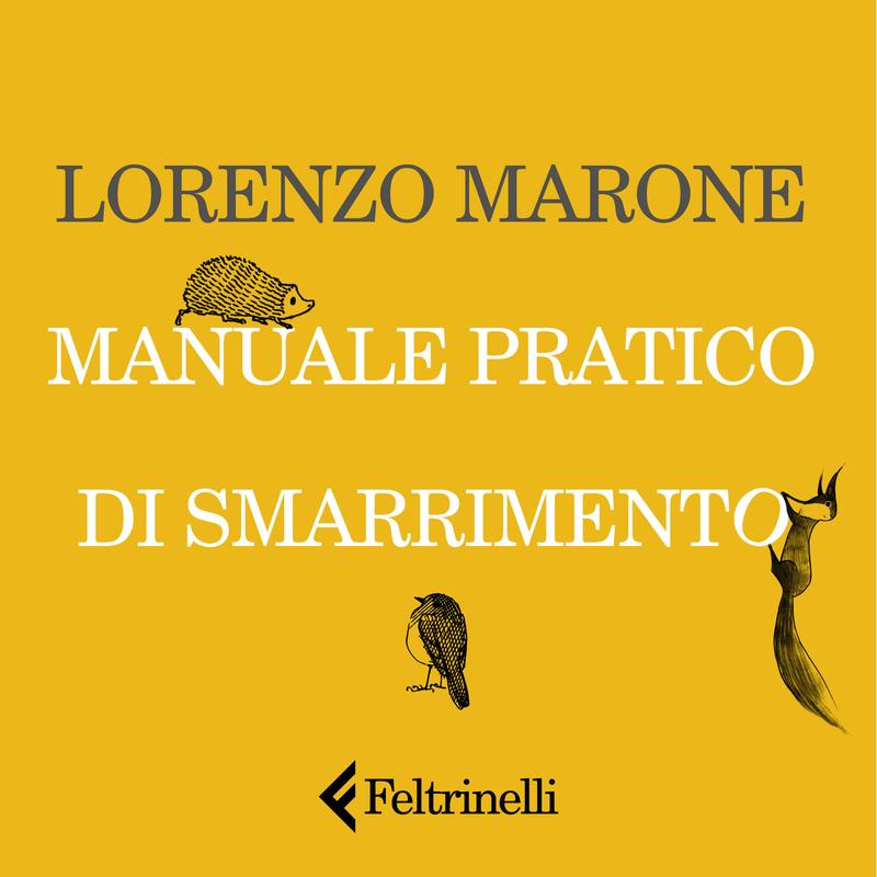 Manuale pratico di smarrimento