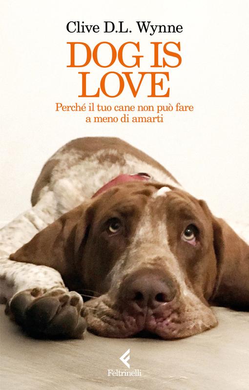 Dog is love