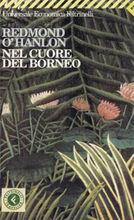 Nel cuore del Borneo