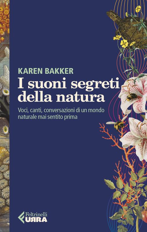 I suoni segreti della natura