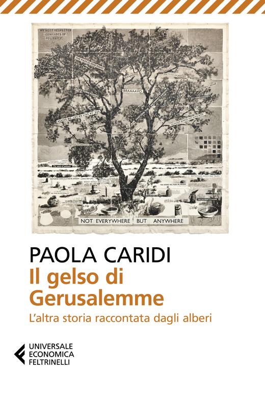 Il gelso di Gerusalemme