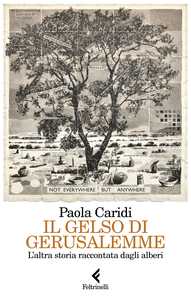 Campania Libri Festival