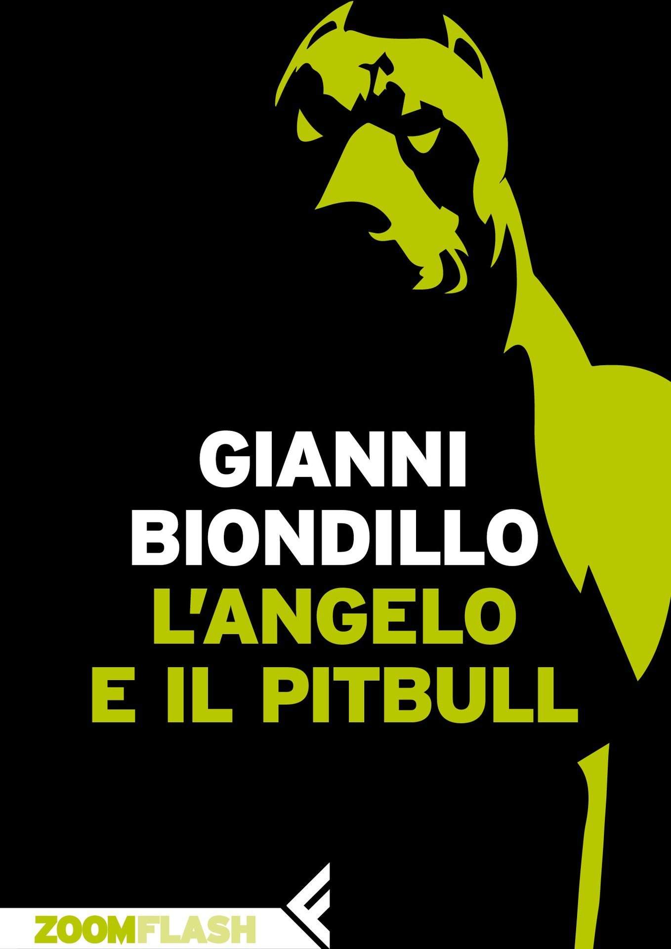 L'ultimo libro di Gianni Biondillo: l'intervista allo scrittore