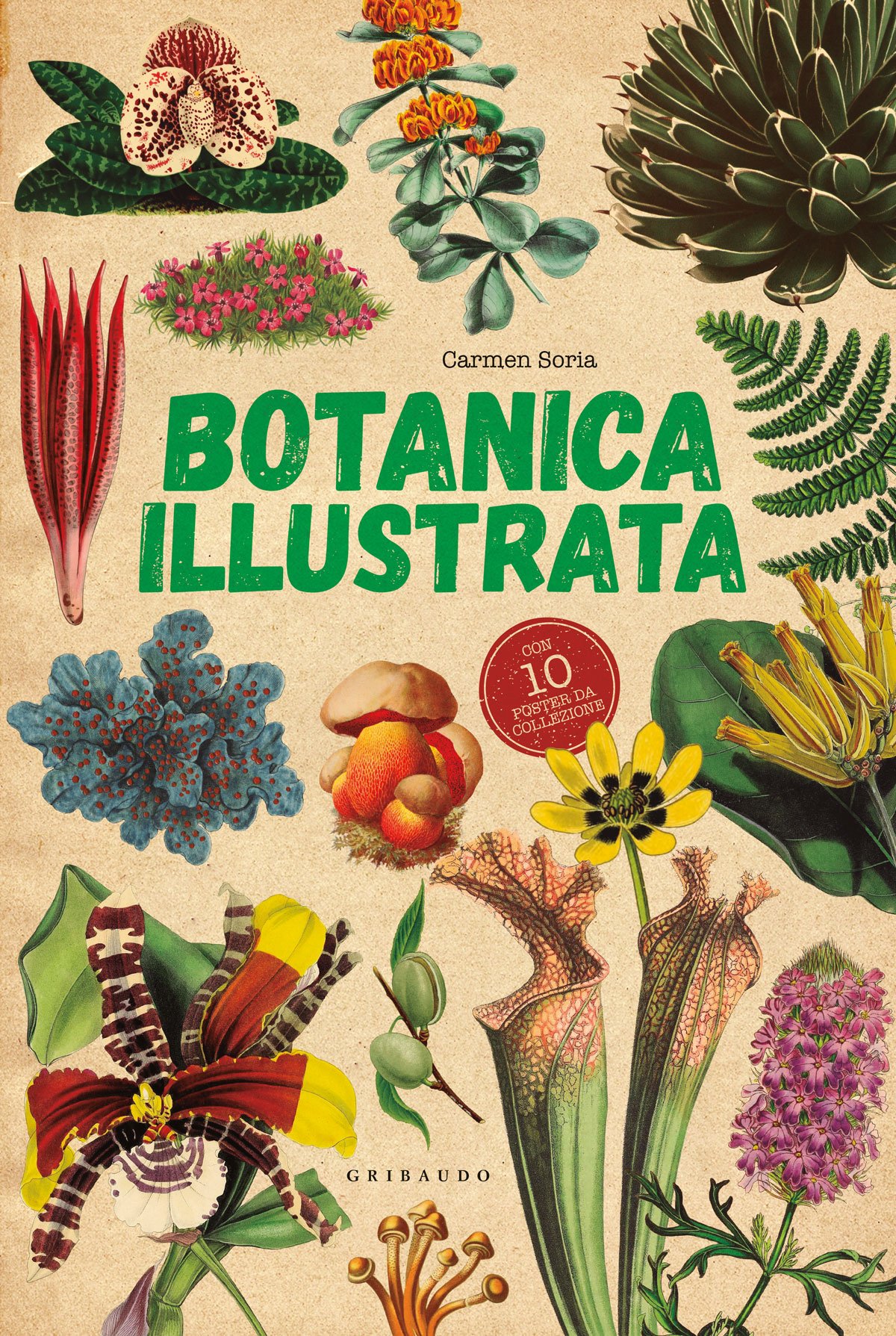 Botanica illustrata