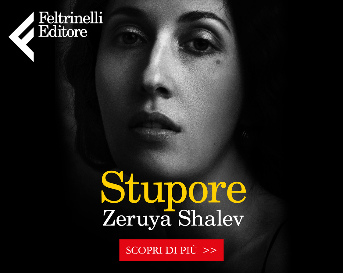 Zeruya Shalev, Stupore