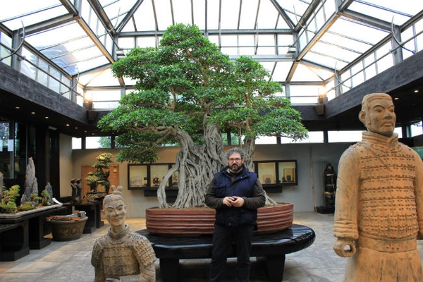 A Parabiago, a mezz’ora da Milano, è sito il mondo del bonsai italiano per eccellenza, il Crespi Bonsai Museum. Nella foto, l’autore con un ficus bonsai