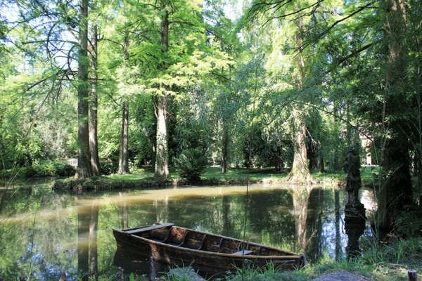 Tasso sito in Villa Sant’Agata, detta Villa Verdi. Anche personalità di umili origini, come Giuseppe Verdi, testimoniano che si può amare alla follia la botanica e la natura senza essere per forza figli di aristocratici