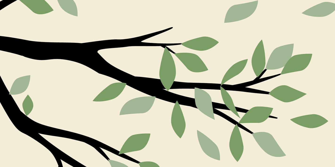 L’inedito di Harper Lee. L’evento letterario dell’anno.