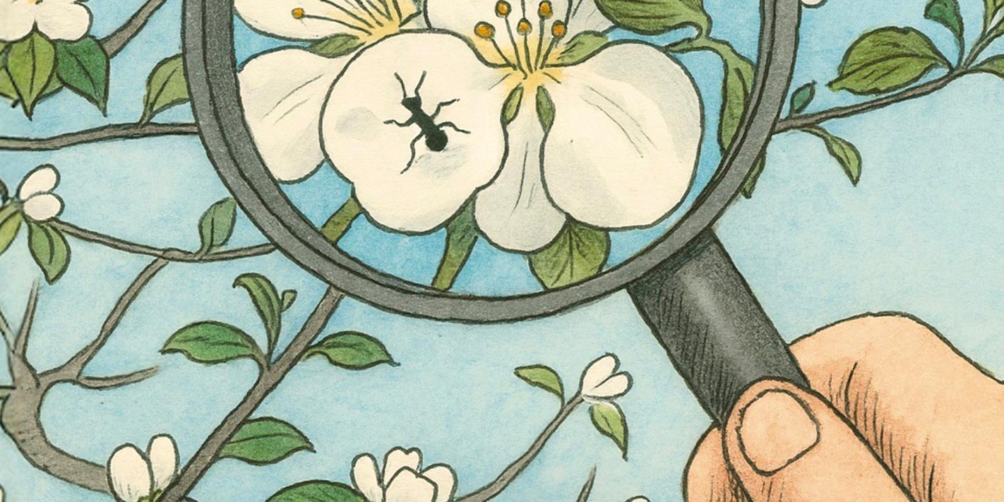 Un invito a fermarci e a prestare attenzione.